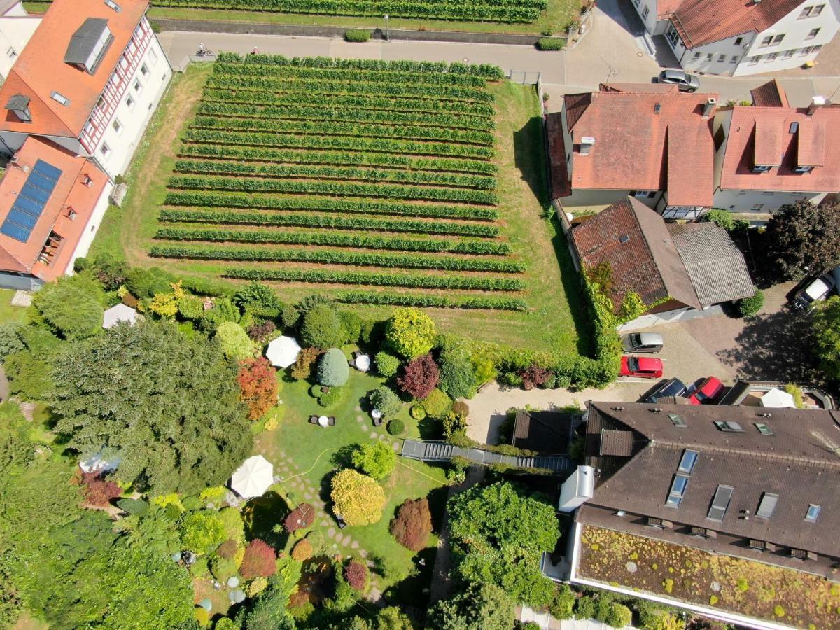 Hotel Der Loewen Hagnau am Bodensee Extérieur photo